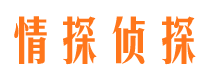 海东市私家侦探